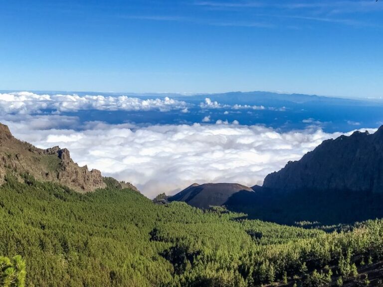 Tenerife Private Tour: Teide and Flavors of The North