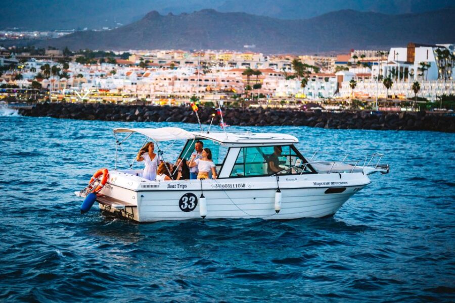 Tenerife South: Romantic Night Cruise - Overview of the Night Cruise