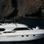 tenerife-whales-and-snorkeling-tour-on-a-luxury-yacht-tour-overview
