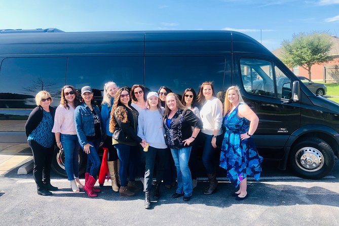 Texas Hill Country Group Wine Tour by Limousine