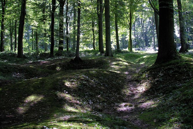 the-battle-of-the-somme-guided-day-tour-from-arras-key-battle-sites-and-memorials
