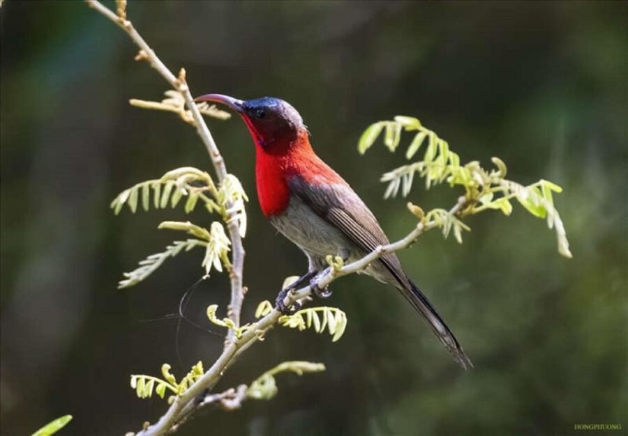 The Best Easy Trek in Cuc Phuong National Park