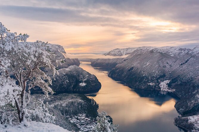 The Best Fjordcruise: Bergen Fjord by Zodiac or Pontoon Boat - Tour Overview