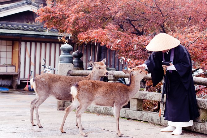 The Best of Nara Walking Tour - Exploring Todaiji Temples Grandeur