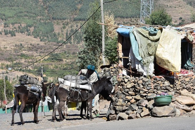 the-best-way-to-discover-addis-ababa-mount-entoto-exploration