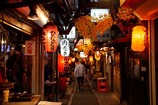The Dark Side of Tokyo – Night Walking Tour Shinjuku Kabukicho