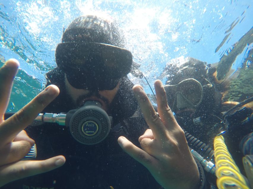 The Estartit: Diving and Snorkeling in the Montgri Natural Park - Overview of the Excursion