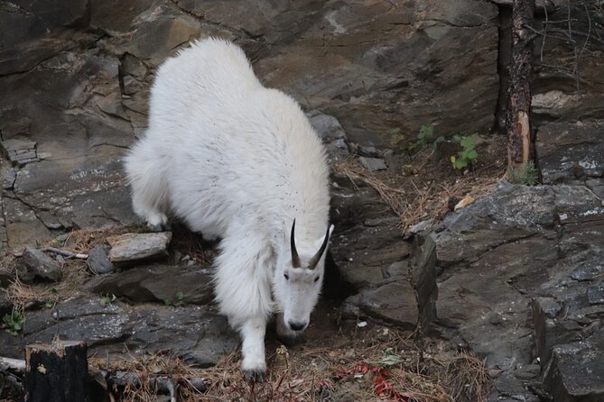 the-full-monty-spearfish-canyon-deadwood-and-devils-tower-exploring-spearfish-canyons-scenic-wonders