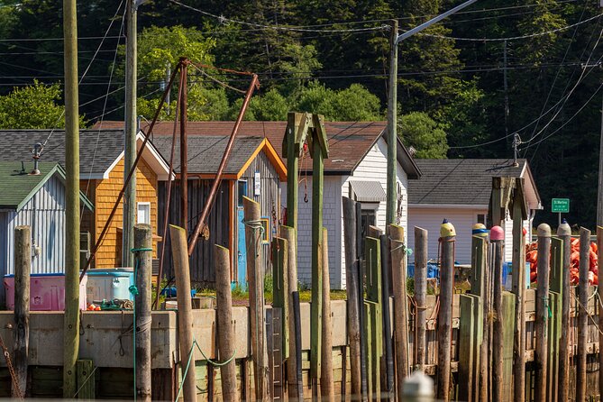 the-fundy-coastal-run-to-quaco-inclusions-on-the-tour