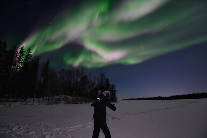 the-greatest-valuable-aurora-manor-hunting-tour-exclusive-tour-operator-overview-of-the-tour