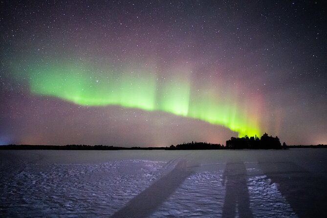 The NIGHT BARBECUE a Call for Auroras - Rovaniemis Enchanting Night Barbecue