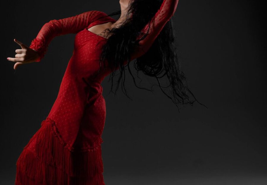 the-sole-spectacle-grenadas-elite-flamenco-encounter-culinary-delights-and-flamenco-fusion