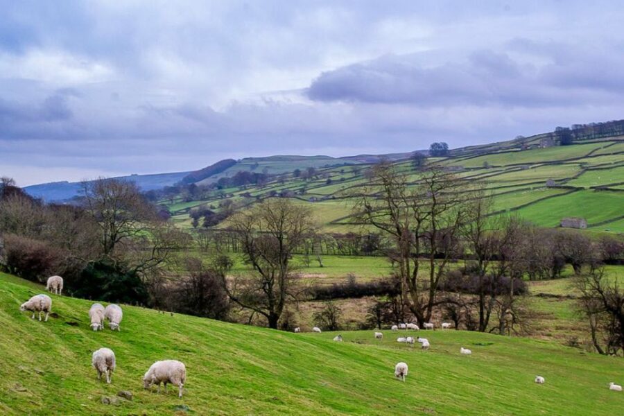 the-yorkshire-dales-tour-from-york-tour-details