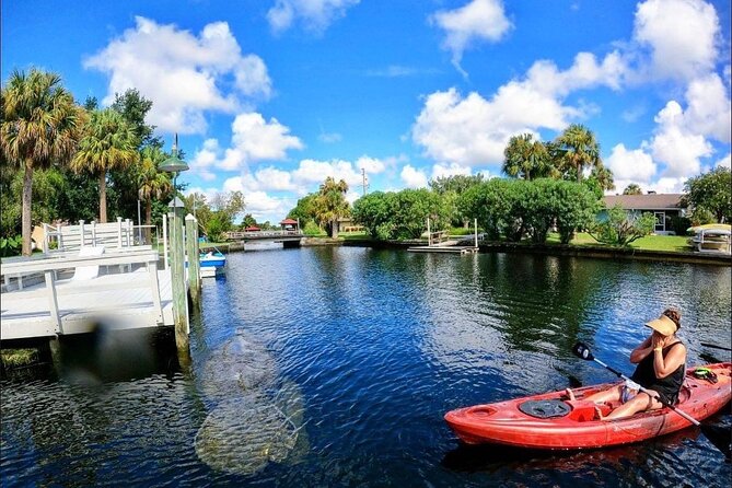 Three Sisters Springs Kayak And Swim Eco-Tour Crystal River