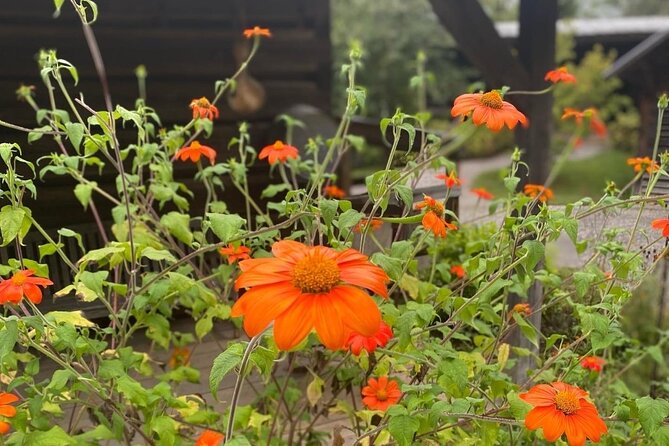 3 Best Guided Tours In Tennessee