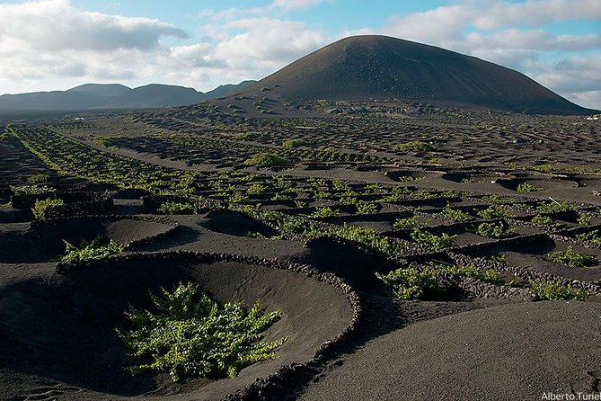 timanfaya-golfo-la-geria-camel-ride-opt-south-lanzarote-guided-tour-overview
