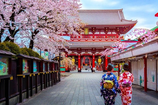 Tokyo Airport Transfers: Tokyo City to Tokyo-Narita Airport NRT in Luxury Van - Location and Airport Details