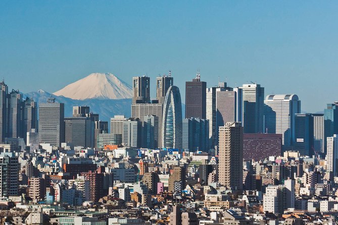 Tokyo Airport Transfers: Tokyo-Narita Airport NRT to Tokyo City in Luxury Car - Pickup at Narita Airport