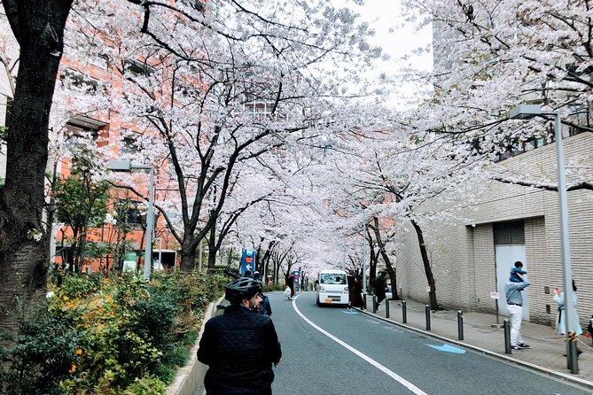 Tokyo Cherry Blossoms Blooming Spots E-Bike 3 Hour Tour - Rental and Equipment Included