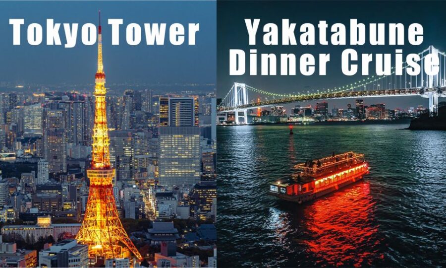 Tokyo: Cruise With Japanese Show, Meal & Tokyo Tower Ticket - Overview of the Cruise Experience