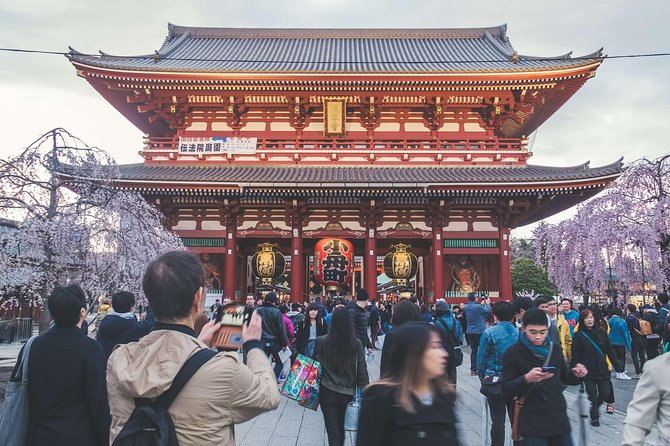 Tokyo Custom Full Day Tour