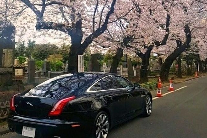 Tokyo Private Sightseeing Tour by English Speaking Chauffeur