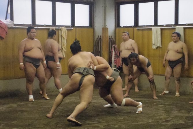 Tokyo Sumo Morning Practice Tour at Stable - Overview of Sumo Tour