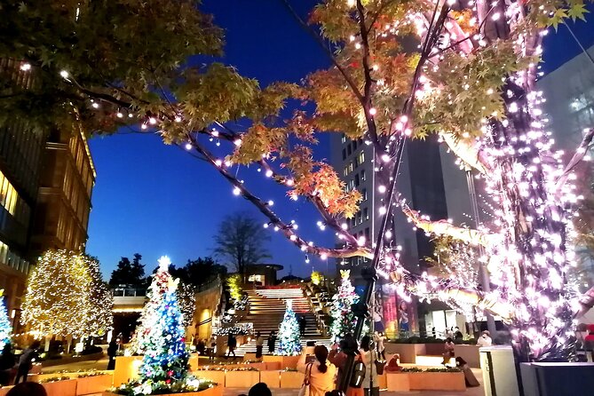 tokyo-winter-illumination-tour-tour-overview