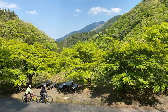 Tokyos Hidden Nature Cycling Tour - Okutama Historical Road Tour - Tour Overview
