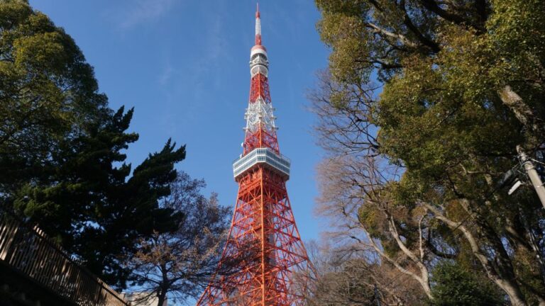 Top 3 Hidden Tokyo Tower Photo Spots and Local Shrine Tour