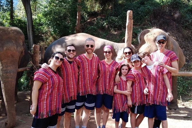 Top Pick - Full or Half Day at Elephant in Wild Sanctuary Chiang Mai - Overview of the Tour