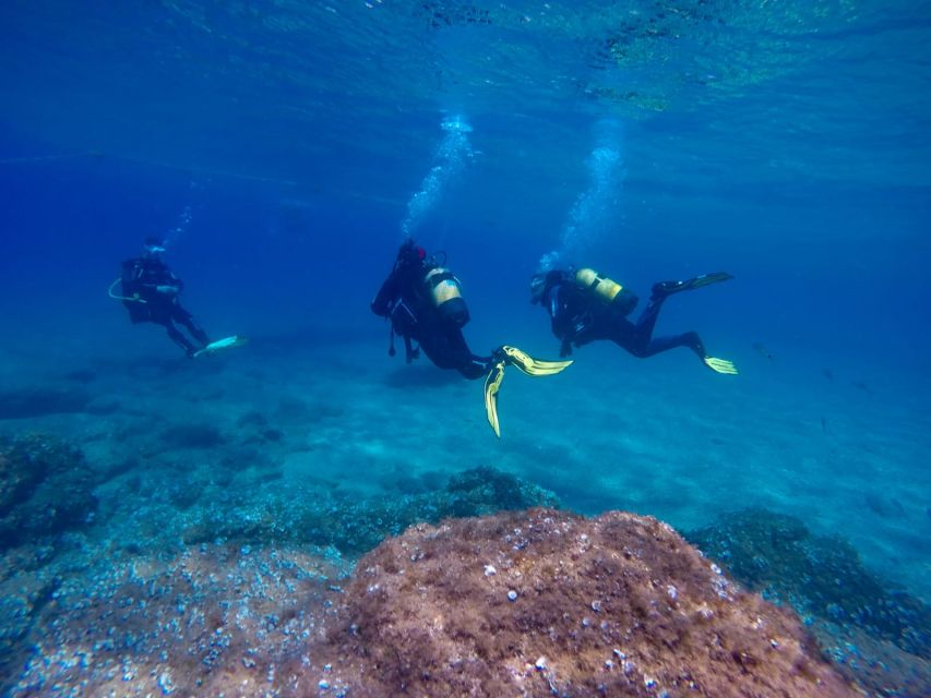 tossa-de-mar-scuba-diving-experience-for-beginners-activity-highlights