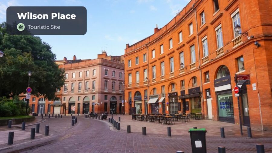 Toulouse: Walking Tour With Audio Guide - Overview of the Walking Tour