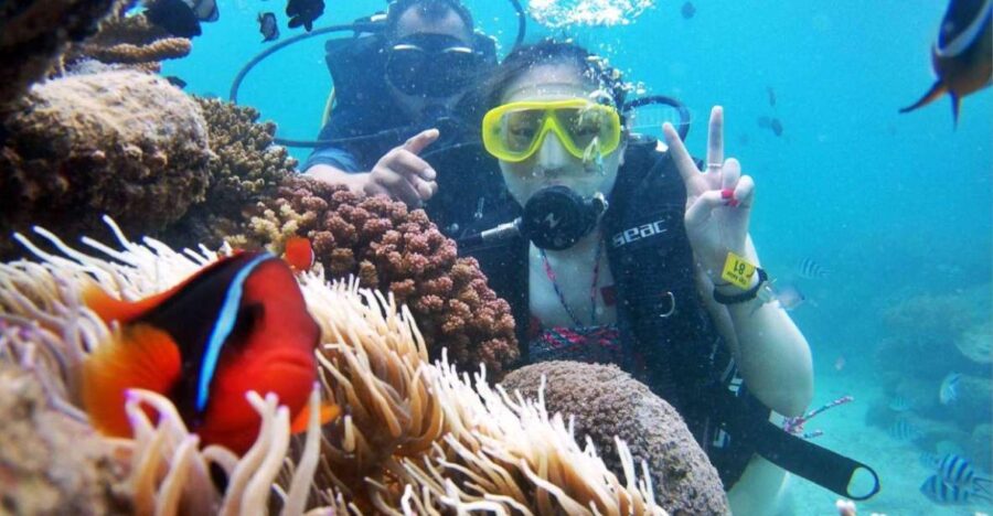 tour-3-islands-of-nha-trang-tour-details