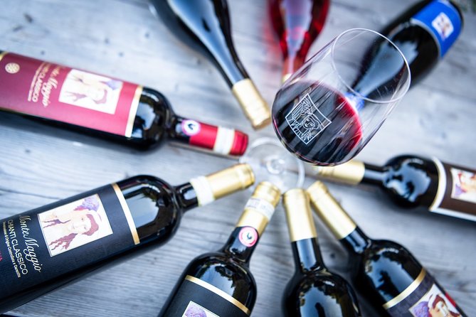 Tour and Tasting at an Organic Winery in the Heart of Chianti Classico Area