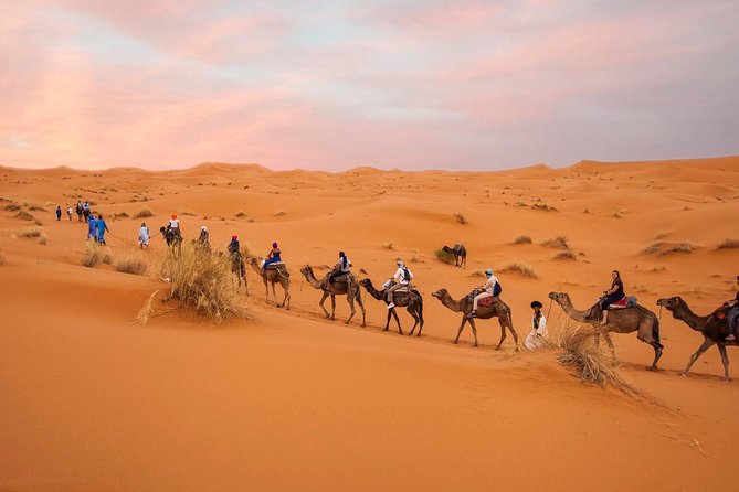 Tour From Marrakech to the Sahara Desert 4 Days
