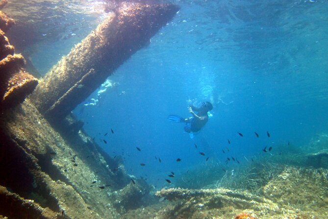 Tour in Rubber Dinghy and Snorkeling in the Protected Marine Area of Tavolara