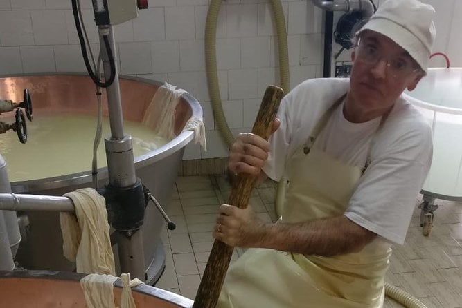 tour-parmigiano-reggiano-dairy-and-parma-ham-overview-of-the-tour