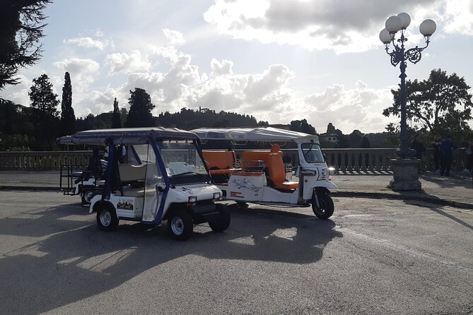 Tour Private of Florence in Electric Car - Tour Overview