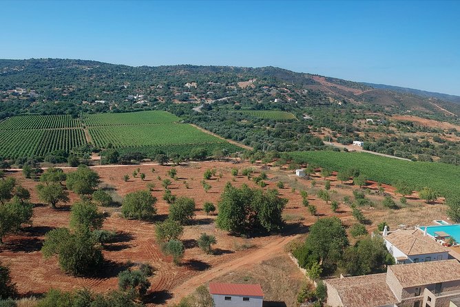 Tour & Wine Tasting - Authentic Algarve Flavours by Quinta Da Tôr - The Delicious Regional Tapas