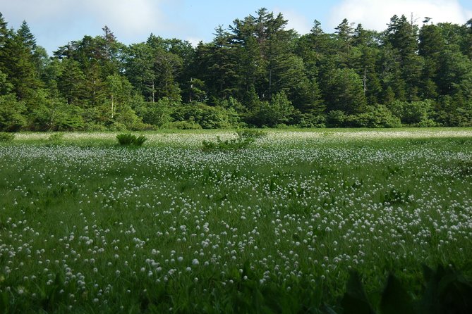 towards-the-silent-unexplored-pond-naganuma-guided-walk-location-and-meeting-point
