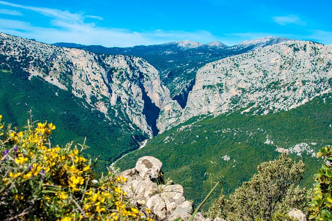 Trekking Excursion to Gorropu Canyon - Tour Overview