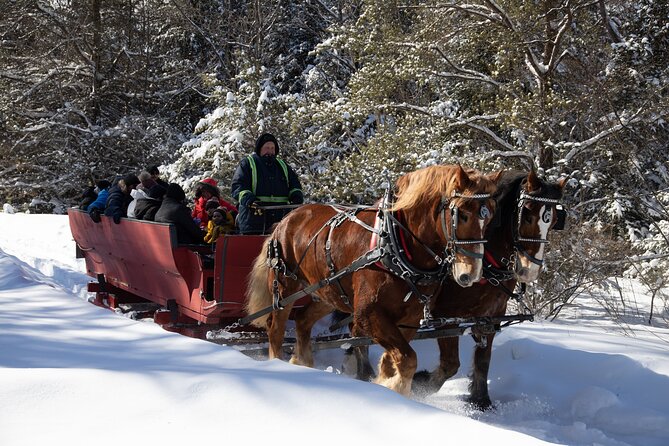tremblant-sleighride-overview-of-the-sleighride