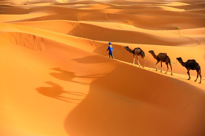 Trip of Your Dreams in 3 Days and 2 Nights in the Desert - Detailed Itinerary and Inclusions