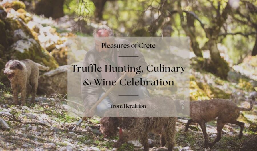Truffle Hunting, Culinary & Wine Celebration From Heraklion
