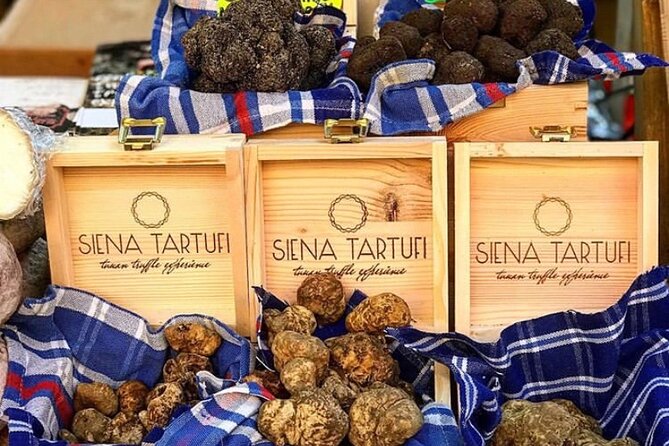 truffle-hunting-experience-siena-tartufi-overview-of-the-experience