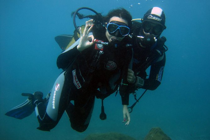 Try Scuba Diving in a Turtle Area (Boat) - Overview of the Excursion