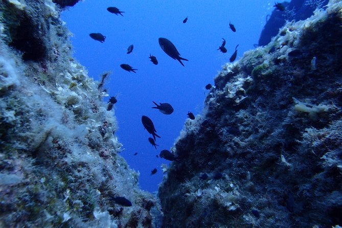 try-scuba-diving-in-lanzarote-no-experience-needed-overview-of-lanzarote-scuba-diving