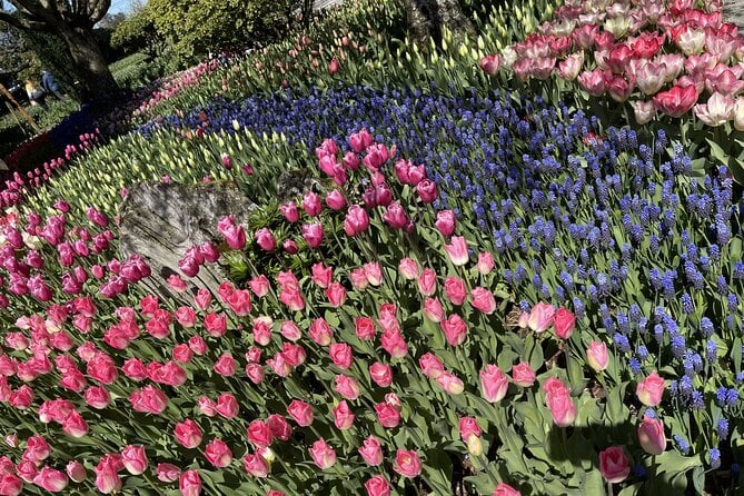 tulip-festival-in-skagit-valley-tour-from-seattle-tour-overview