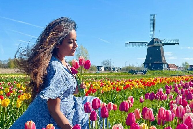 Tulip Field With a Dutch Windmill Tour From Amsterdam - Tour Description